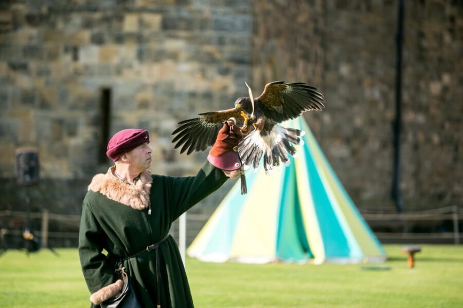 Alnwick: Alnwick Castle Ticket - Artisans Courtyard: medieval play for kids and adults