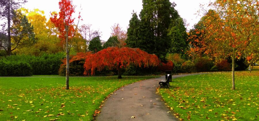 Bath : 2 Hour Historic Walking Tour With An App - Who this app tour fits best (and who may want a different format)
