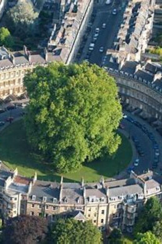 Bath: Local Pubs & Historic Sights Walking Tour (3h) - Bath Abbey start: getting oriented before the streets open up