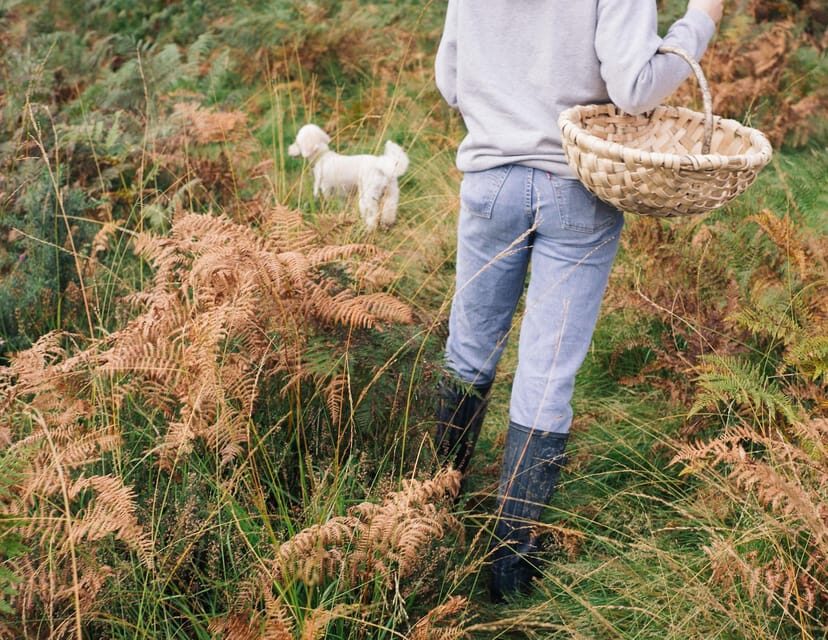 Beginner Foraging Walk: Wild food walking tour & tasters - Key highlights I’d plan around