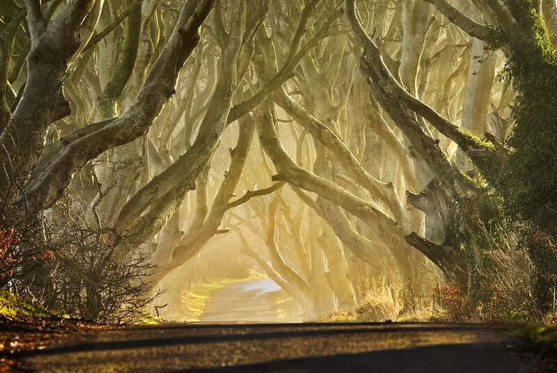 Belfast: Game of Thrones - Iron Islands & Giant's Causeway - Lunch at The Fullerton Arms: the pace reset