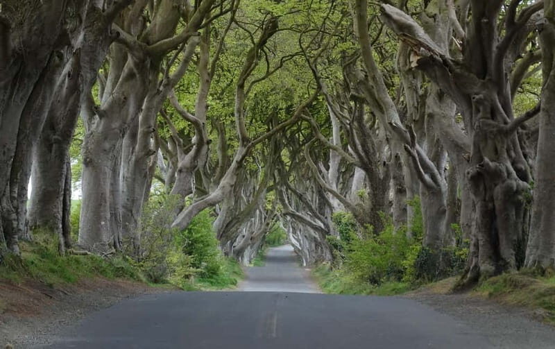 Belfast: Giant's Causeway Tour and 2-Day Open Top-Bus Tour - Bushmills and Dunluce Castle Ruins: Whiskey Town Charm and Cliffside Drama