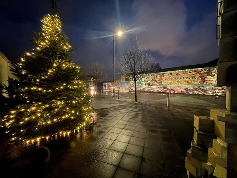 Belfast: Peace Wall & Mural Tour - Price and logistics: what $44 gets you in real terms