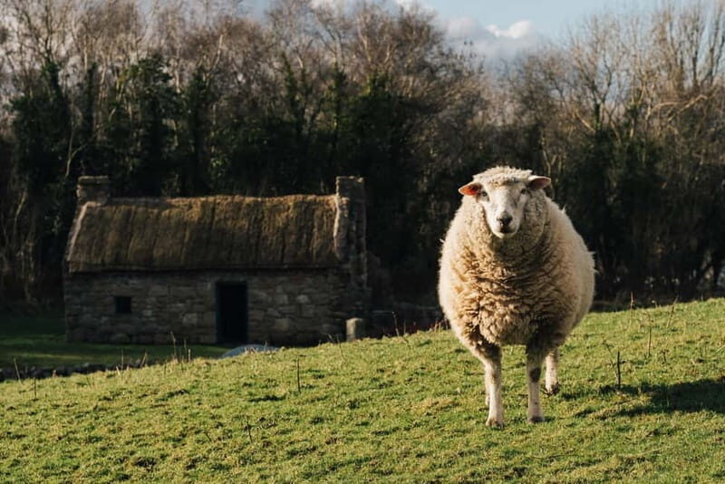 Belfast: Ulster Folk Museum Entry Ticket - Key highlights you’ll actually notice