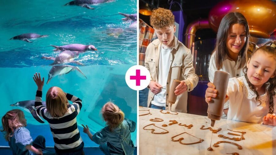 Birmingham: Cadbury World & SEA LIFE Birmingham - Why Cadbury World + SEA LIFE is such a smart family pairing