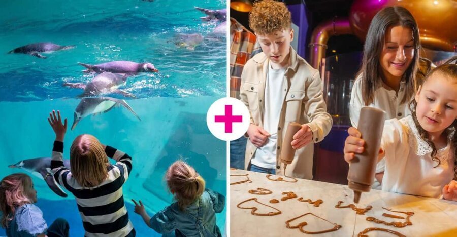 Birmingham: Cadbury World & SEA LIFE Birmingham - Timing and ticket flow: how to avoid the common schedule headache