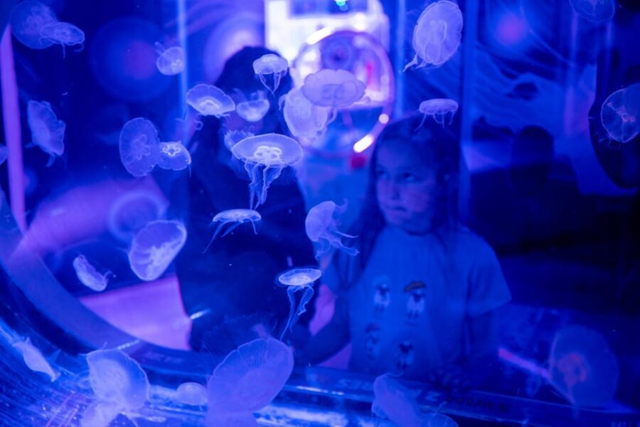 Birmingham: Cadbury World & SEA LIFE Birmingham - Accessibility and comfort for a smoother day
