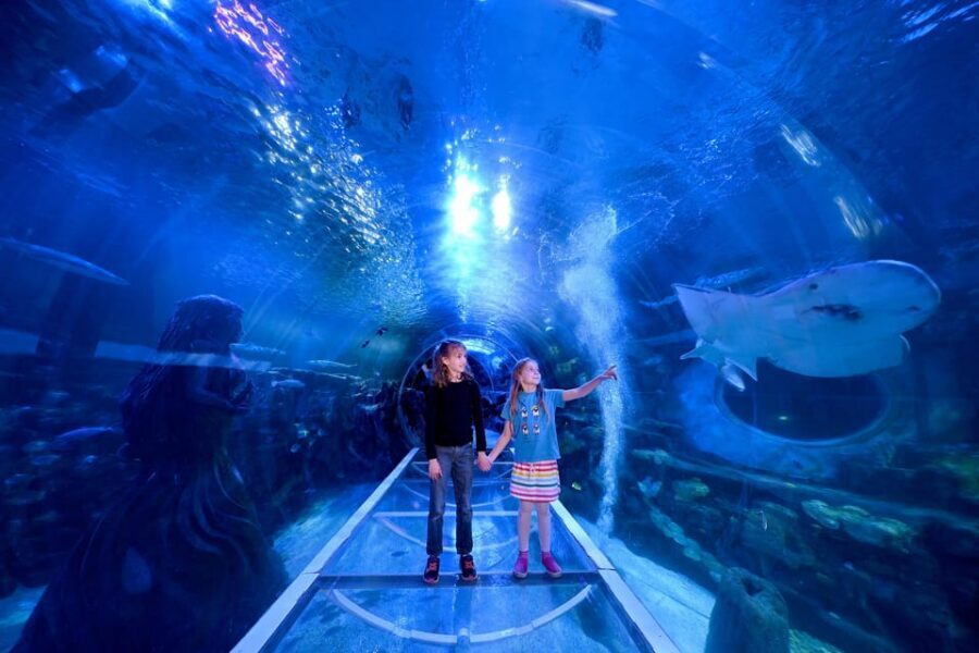 Birmingham: Cadbury World + SEA LIFE + LEGOLAND Discovery - How This Birmingham Day Works: Chocolate, LEGO, and Ocean Animals in One Plan