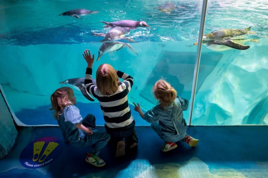 Birmingham: Cadbury World + SEA LIFE + LEGOLAND Discovery - Who This Birmingham Combo Fits Best (and Who Should Think Twice)