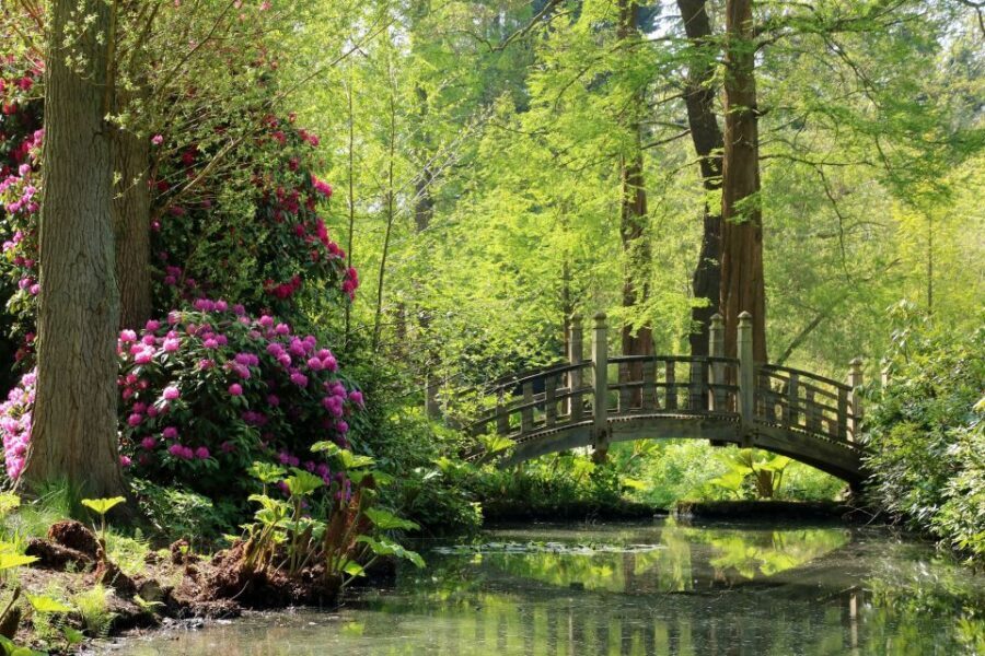 Birmingham: Winterbourne House and Garden Admission Ticket - Key highlights to look for