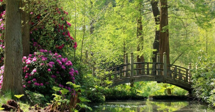 Birmingham: Winterbourne House and Garden Admission Ticket - How long should you plan for: half day or full afternoon