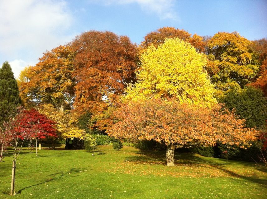 Birmingham: Winterbourne House and Garden Admission Ticket - Timed ticket rules: how to plan your day around house entry