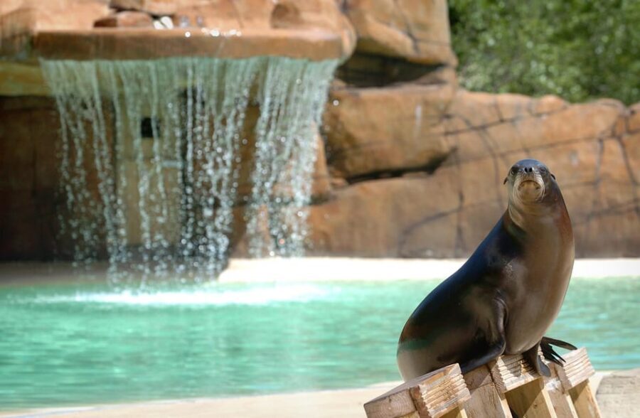 Blackpool: Zoo Admission Ticket - A Zoo-Wide Animal Day: From Aardvarks to Bornean Orangutans