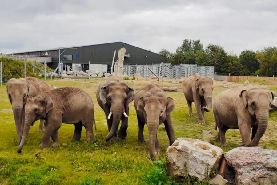 Blackpool: Zoo Admission Ticket - Start With the Prehistory Zone and the Volcano Dinosaur Exhibit