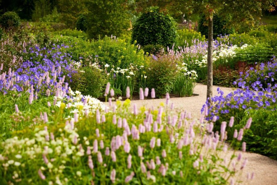 Bridgewater: Royal Horticultural Society Garden Ticket - Kitchen Garden: Where Gardening Meets Everyday Life