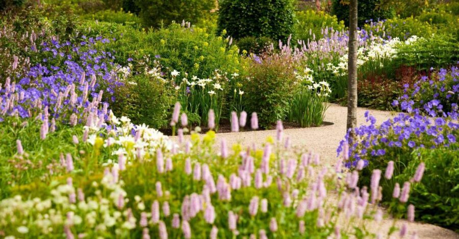 Bridgewater: Royal Horticultural Society Garden Ticket - Paradise Garden: Mediterranean Meets Asiatic Planting in One Walk