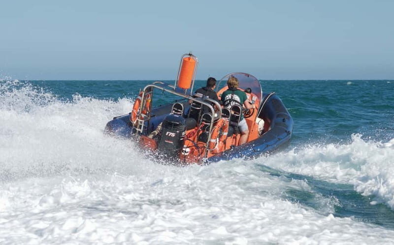 Brighton: Powerboat Ride - Meeting at Brighton Marina and the Safety Briefing That Sets the Tone