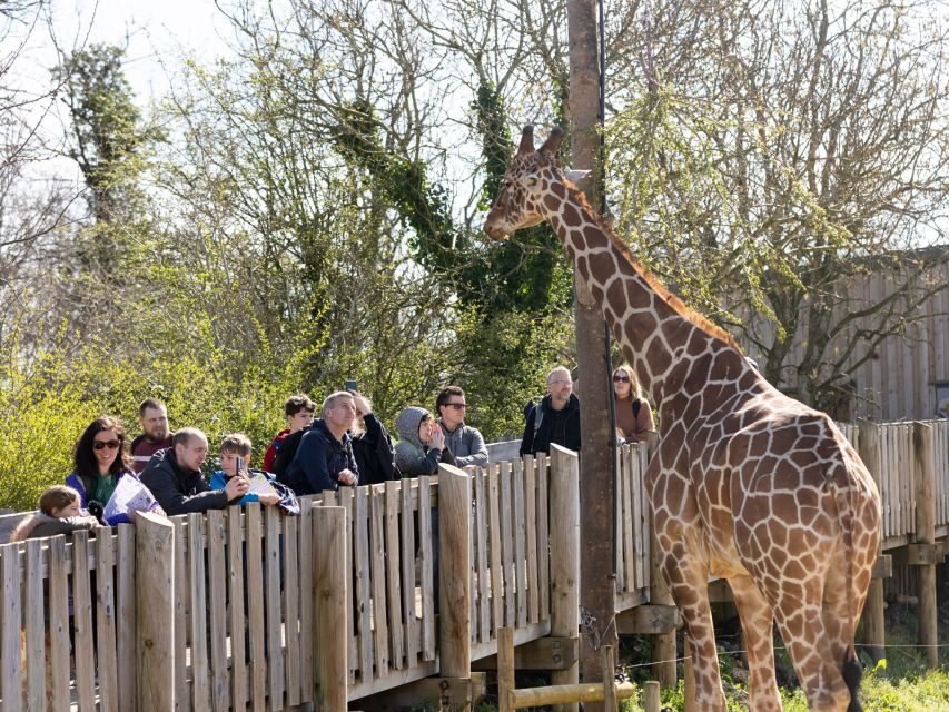 Bristol: Bristol Zoo Project Entry Ticket - Key things to know before you go