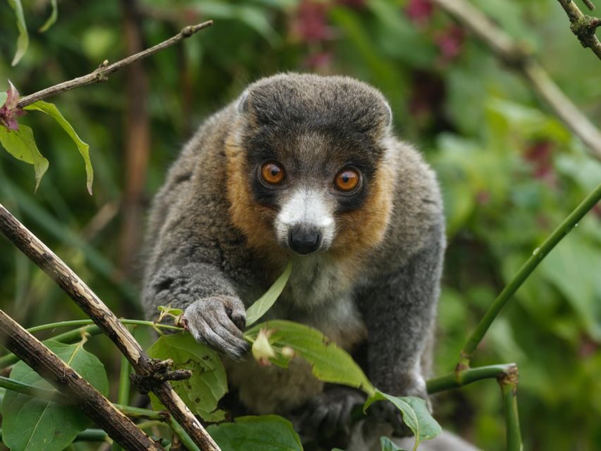 Bristol: Bristol Zoo Project Entry Ticket - Arrival, tickets, and getting oriented fast