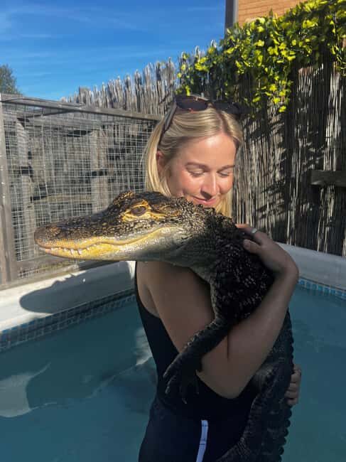 Bristol: Crocodile Swimming Experience coffee and cake - The 2-hour flow: how the schedule actually plays out