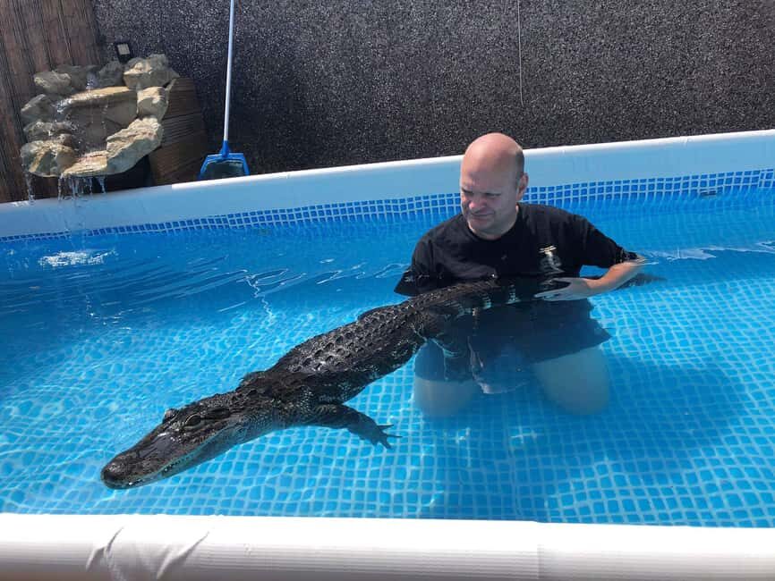 Bristol: Crocodile Swimming Experience coffee and cake - Guided tour: crocs plus the venomous snake area