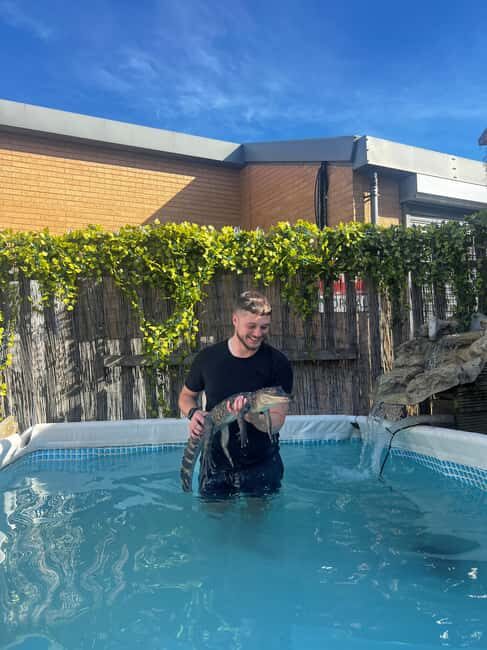 Bristol: Crocodile Swimming Experience coffee and cake - Pool time: 45 minutes swimming with a crocodile