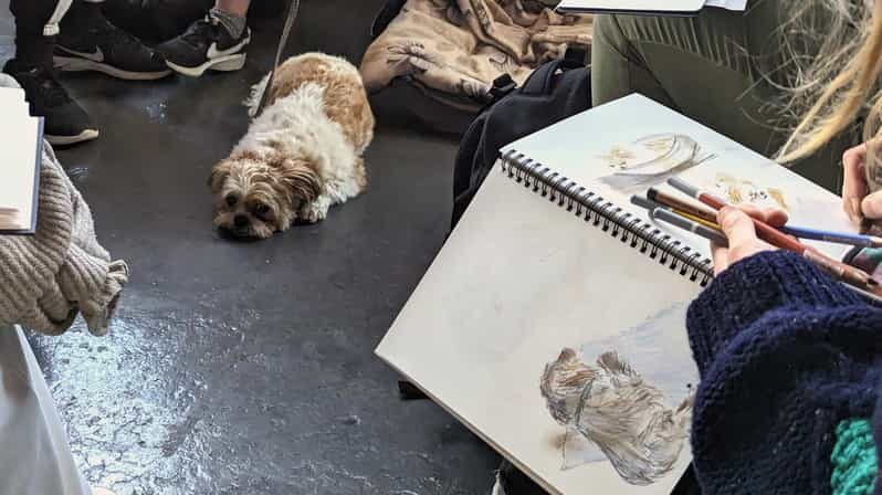 Bristol: Dog Life Drawing led by local Artist Cai Burton - Should you book Dog Life Drawing in Bristol?