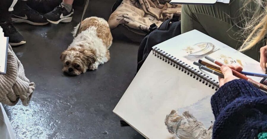 Bristol: Dog Life Drawing led by local Artist Cai Burton - KIT FORM at Jamaica Street Studios: your entry point to Stoke’s Croft creativity