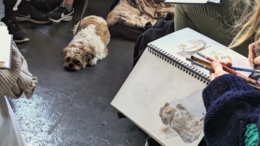 Bristol: Dog Life Drawing led by local Artist Cai Burton - The break with owners and pups: meeting the dogs behind the sketches
