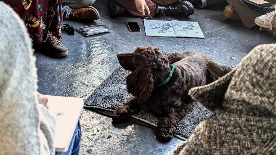 Bristol: Dog Life Drawing led by local Artist Cai Burton - Stoke’s Croft timing: when to pair the class with a neighborhood stroll