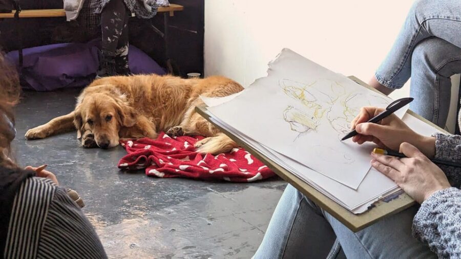 Bristol: Dog Life Drawing led by local Artist Cai Burton - Who should go, and who should skip the dogs today