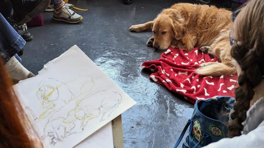 Bristol: Dog Life Drawing led by local Artist Cai Burton - Cai Burton’s warm-ups: drawing faster, not better later