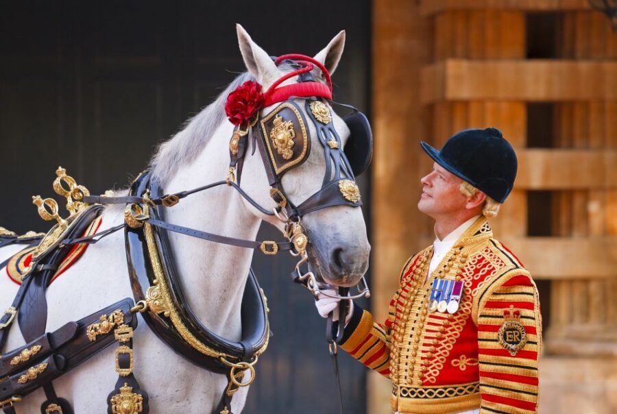 Buckingham Palace: The Royal Mews Entrance Ticket - What you’ll love most (and what to watch for)