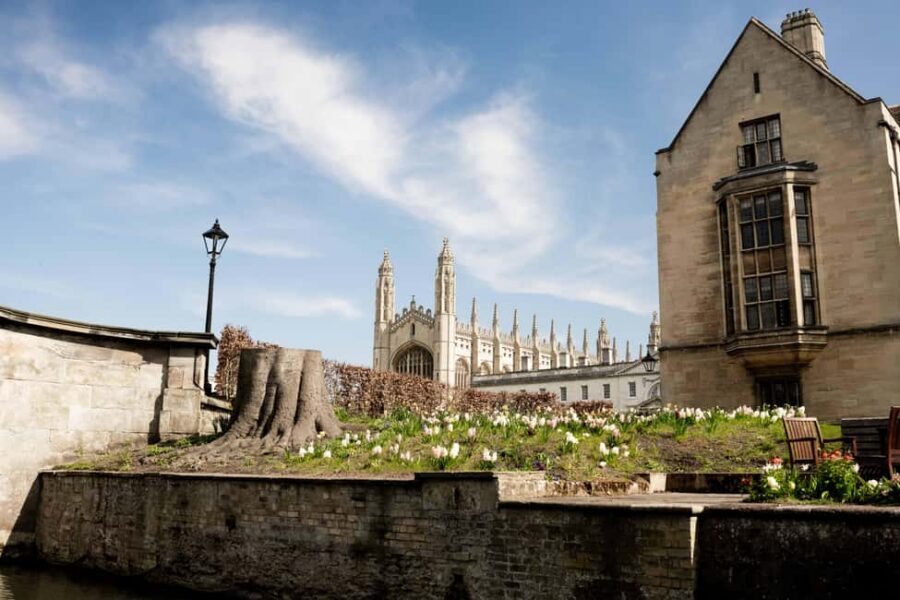 Cambridge: Punting Tour on the River Cam - Key Highlights You’ll Feel Immediately