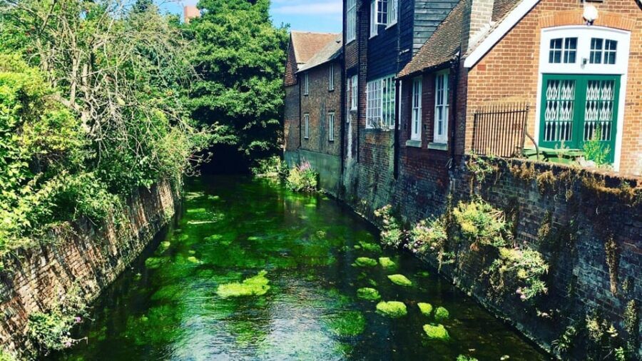 Canterbury Walking Tour with a Local - Price and Value: $48 for a Tailored Walk in a Small City