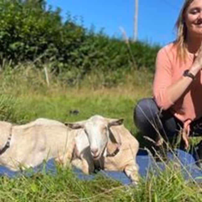Canterbury: Yoga with Goats and Sheep - Hawes Farm Check-In: Finding Wild Woodland Retreat Near Canterbury