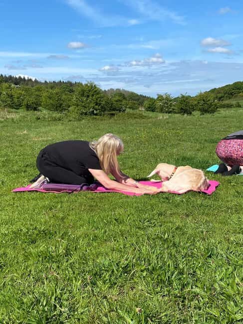 Canterbury: Yoga with Goats and Sheep - What a 75-Minute Goat Yoga Session Feels Like (And How It Stays Chilled)