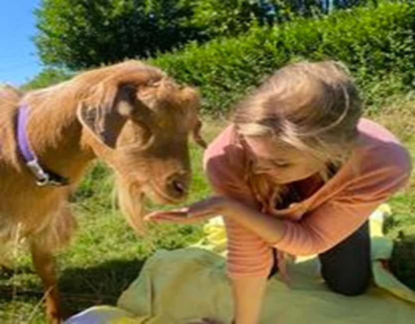 Canterbury: Yoga with Goats and Sheep - FAQ