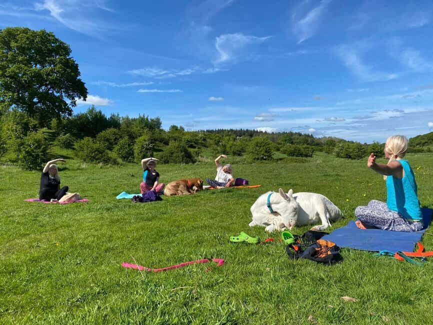 Canterbury: Yoga with Goats and Sheep - Your Classmates: The Sanctuary Herd (Golden Guernseys, Swiss Saanans, Sheep, and More)