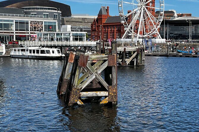 Cardiff Bay Private Self-Guided Tour - Cardiff Bay Wetland Reserve and the redevelopment landmarks