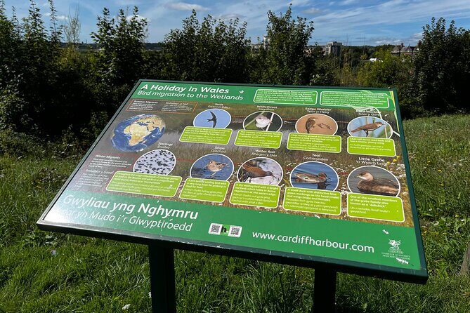 Cardiff Bay Private Self-Guided Tour - Finishing near Cardiff Bay Trail: use the ending for an easy win