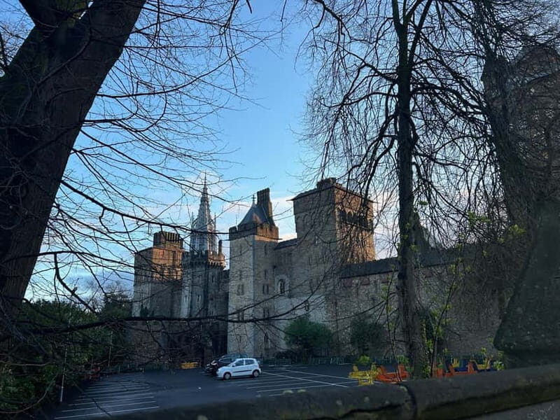 Cardiff: City Highlights Guided Walking Tour - National Museum and the city’s art habits