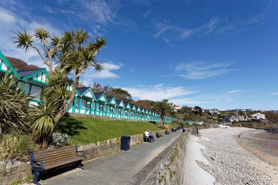 Cardiff: Golden Gower Coast, Swansea & Mumbles Day Tour - What to bring (and what not to bring) for a smooth coast day