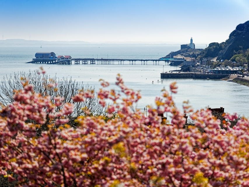 Cardiff: Golden Gower Coast, Swansea & Mumbles Day Tour - A Golden Gower day tour that feels efficient, not rushed