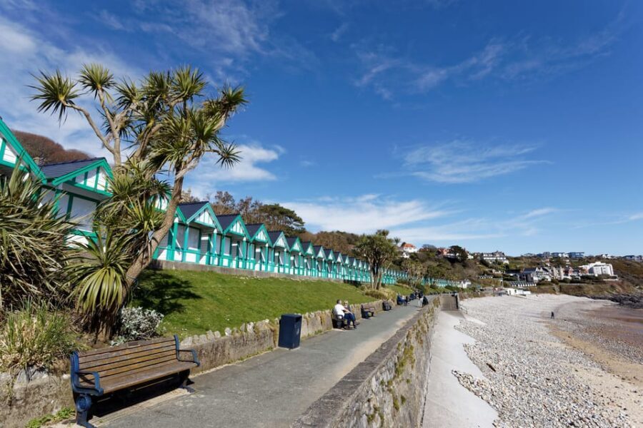 Cardiff: Gower Peninsula's Cliffs & Bays Scenic Day Tour - Walking comfort: what the day asks of you
