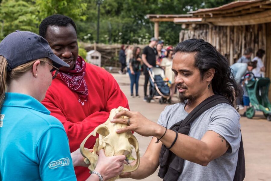 Chester: Chester Zoo Entry Ticket - Adventure playgrounds and family breaks that keep the day moving