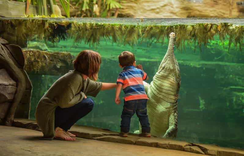Chester: Chester Zoo Entry Ticket - How to start your day: pick a route that matches your energy