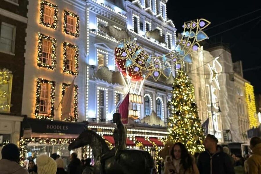 Christmas Lights Taxi Tour with Hotel Pickup - What’s included, what to bring, and what’s not