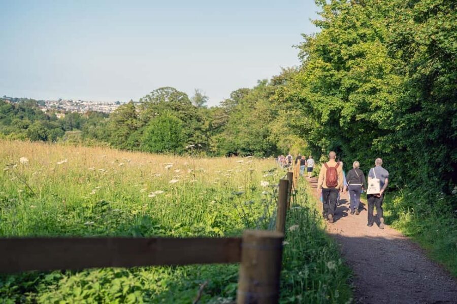 Cockington: Sunset Sketch and Stroll with Sketch Kit - Strolling Cockington Court: where you’ll sketch and why each stop matters