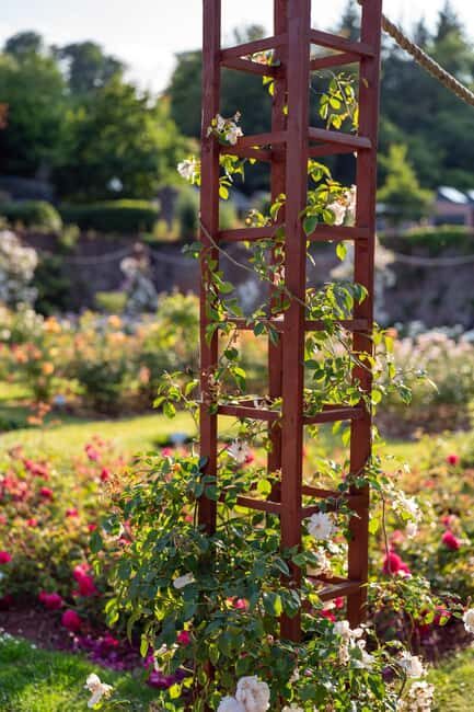 Cockington: Sunset Sketch and Stroll with Sketch Kit - Plein air sketching: why it’s worth doing at sunset
